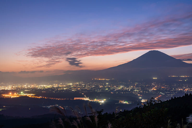 미나미아시가라시