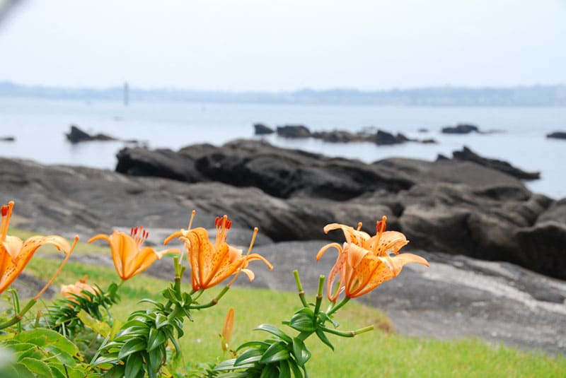 텐진지마 임해 자연 교육원