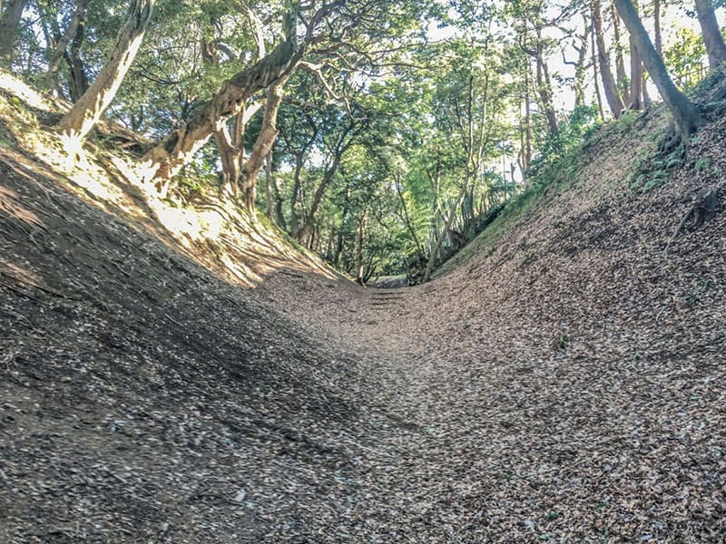 오다와라 소가마에