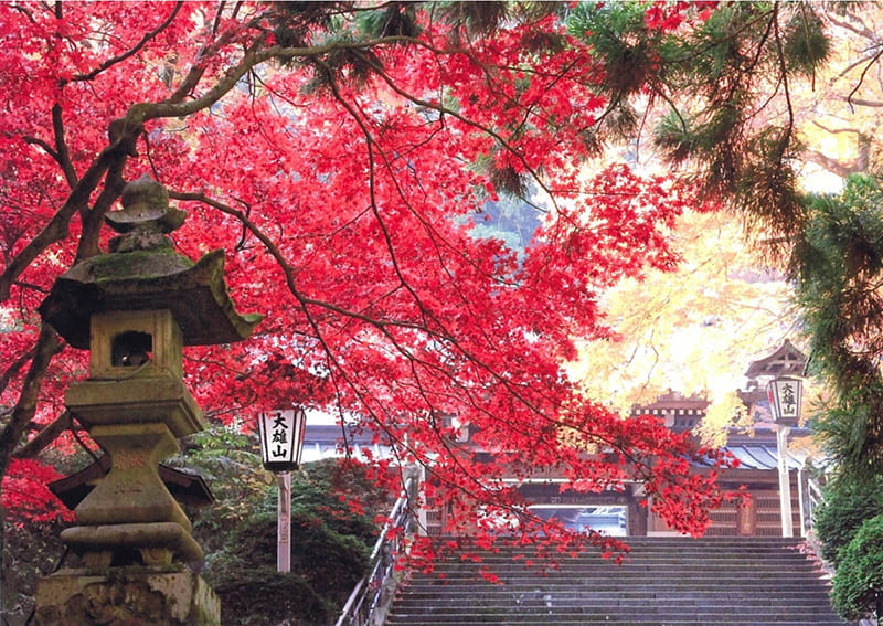 다이유잔 사이조지