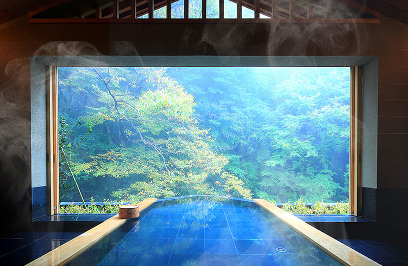 오쿠유가와라 유이