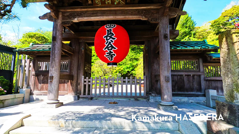 가마쿠라 하세데라