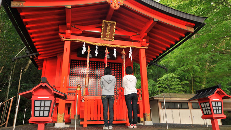 하코네 쿠즈류의 숲