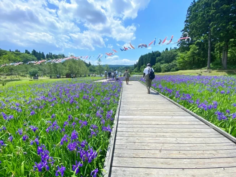 카시와자키 유메노모리 공원