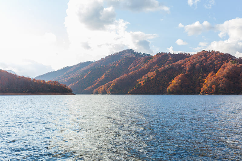오쿠타다미 지역