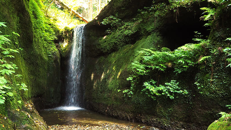 모모카와노 오타키사마