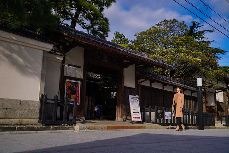 일본 요정 이키나리야