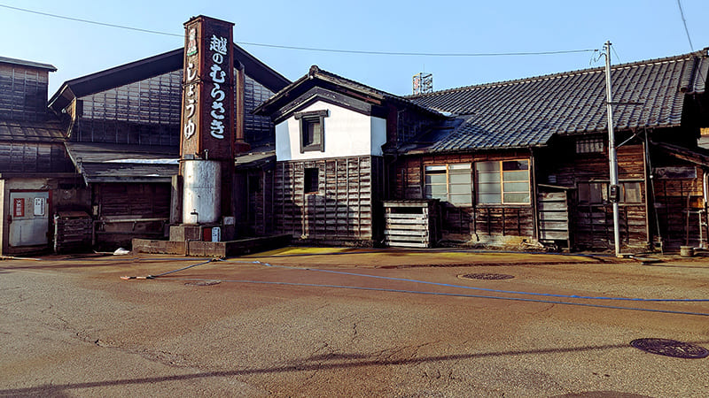 코시노 무라사키