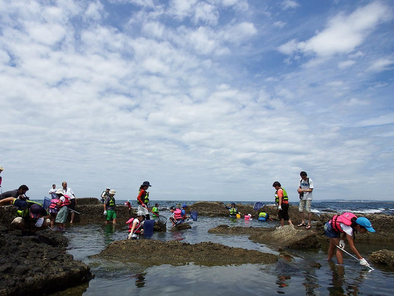 반진 자연 수족관