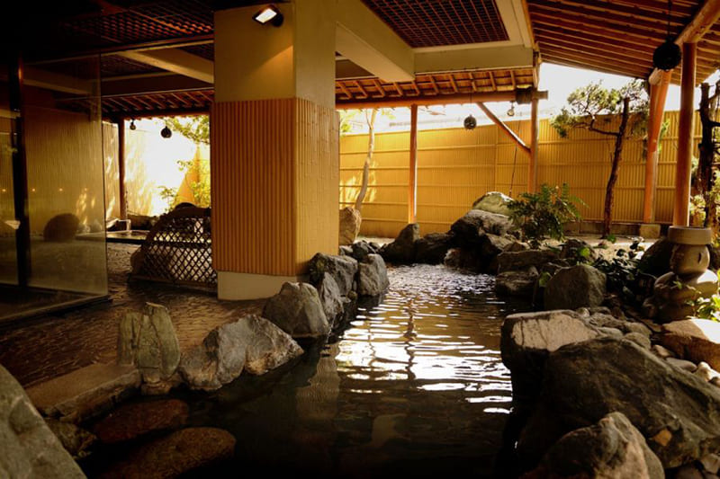 츠키오카 온천 호텔 세이푸엔