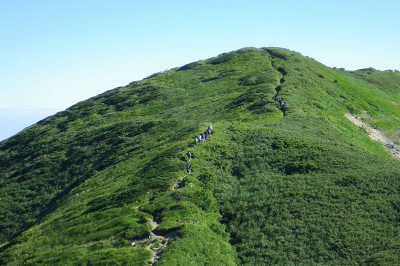 이이데 연봉 몬나이다케