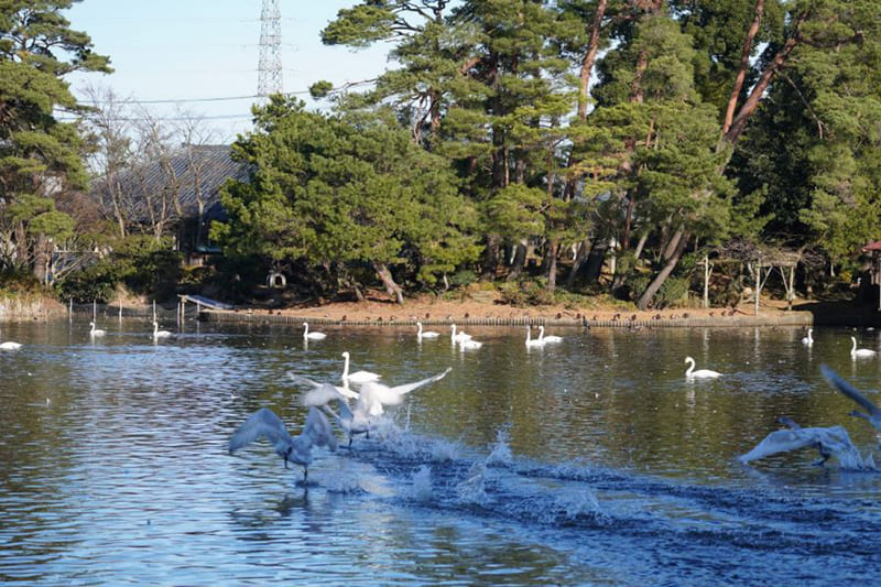 벤텐가타 풍치 공원