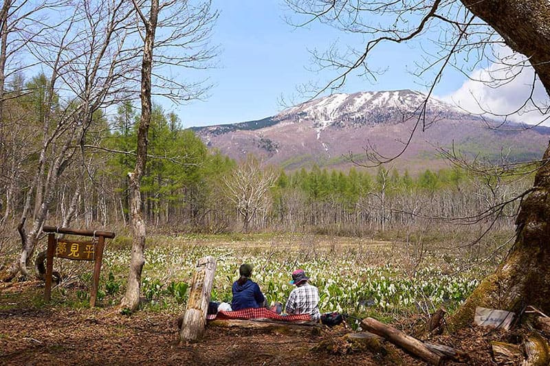 유메미다이라 산책로