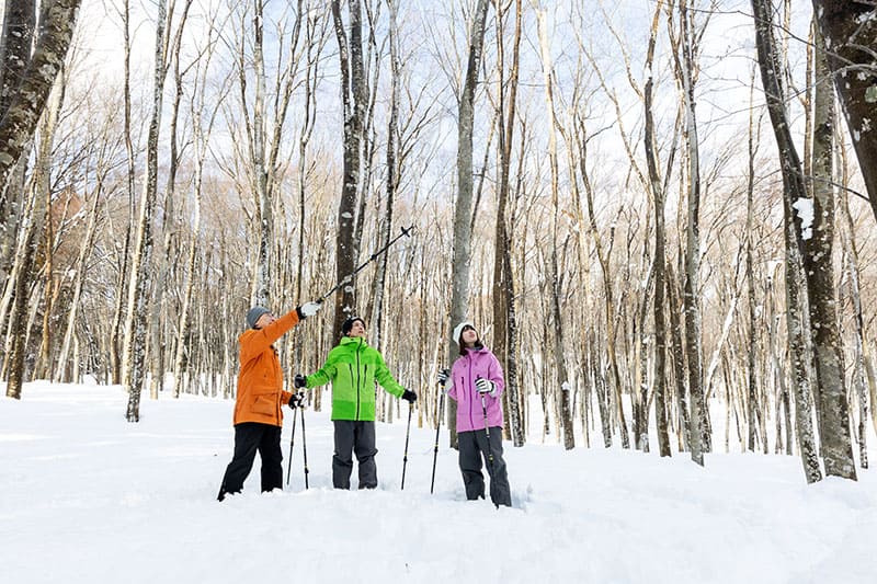 에치고 마츠노야마 ‘숲의 학교’ 쿄로로