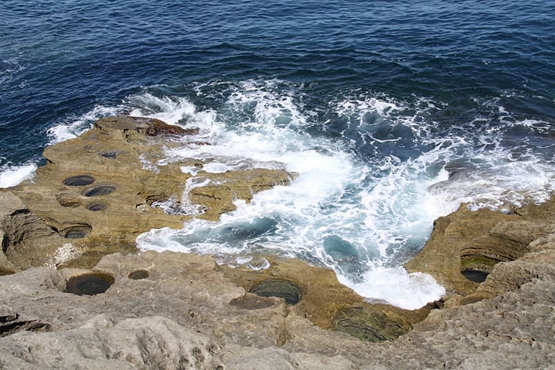 히라네자키 파식 구혈군