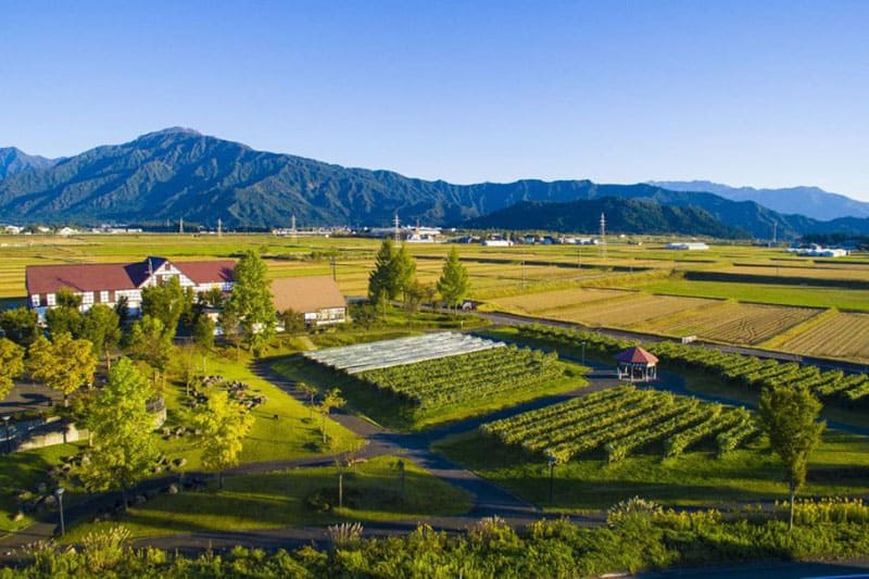 에치고 와이너리