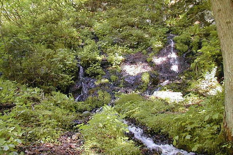 라이덴사마의 물