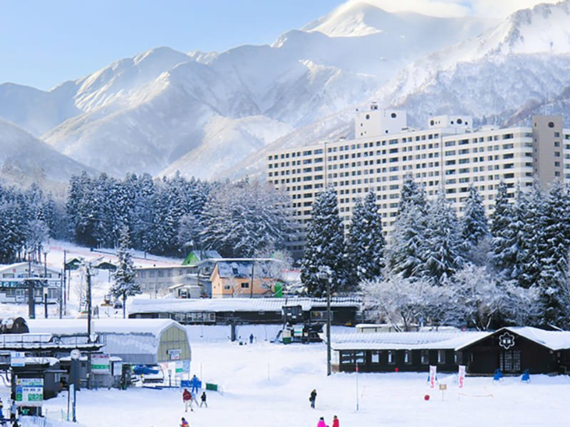 엔젤 그란디아 에치고 나카자토