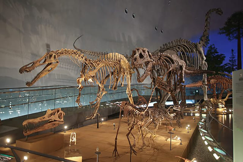 후쿠이 현립 공룡 박물관