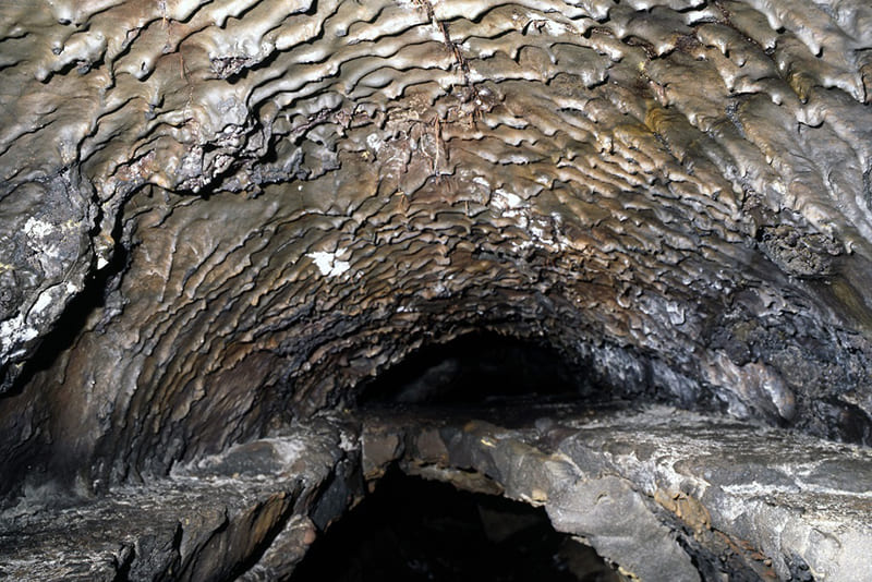 요시다 타이내 수형