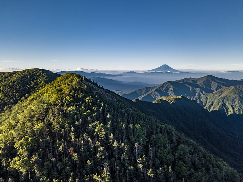 고부시 유네스코 에코파크