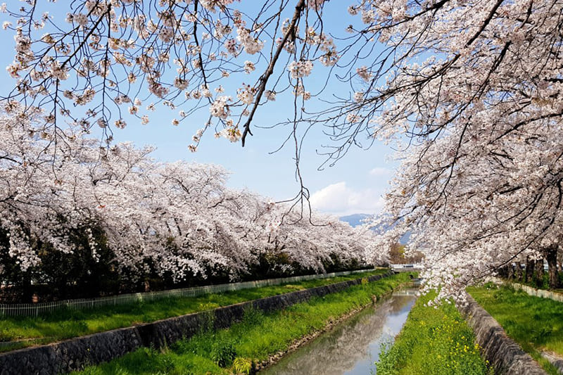 고세 스포츠 공원
