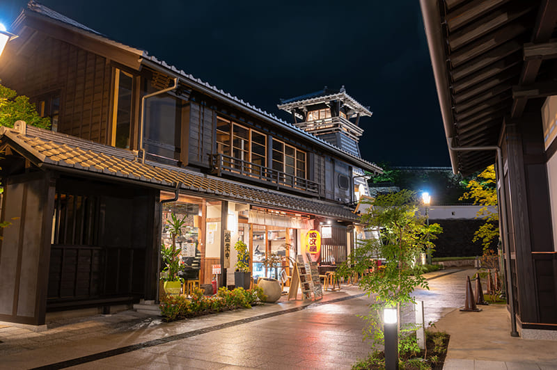 소에도 고후 하나코지