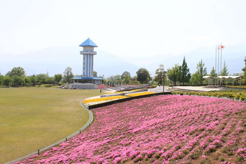 아카사카다이 종합 공원