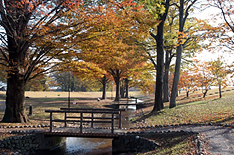 신겐즈츠미 공원