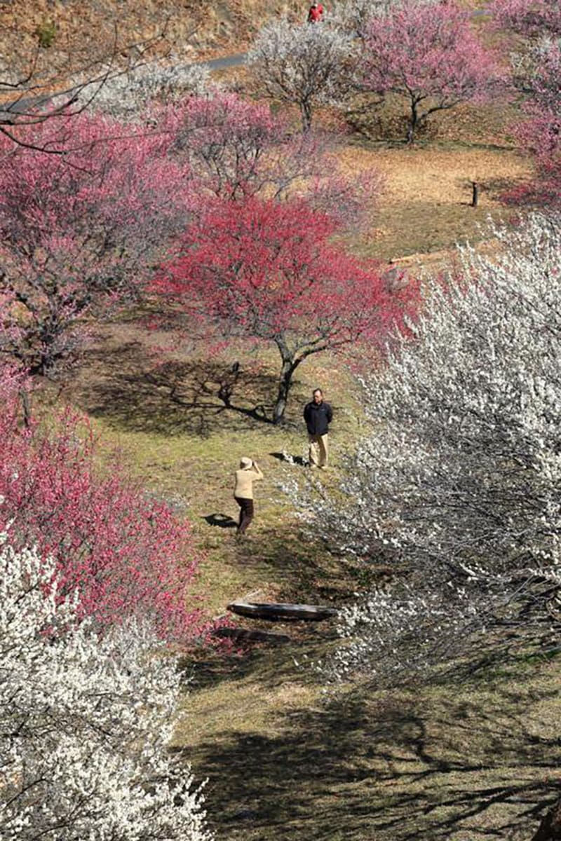 시키시마 종합 공원