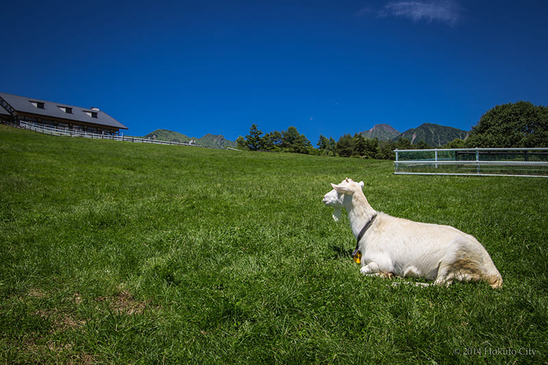 야마나시 현립 마키바 공원
