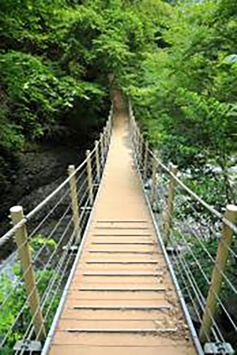 오야나가와 계곡