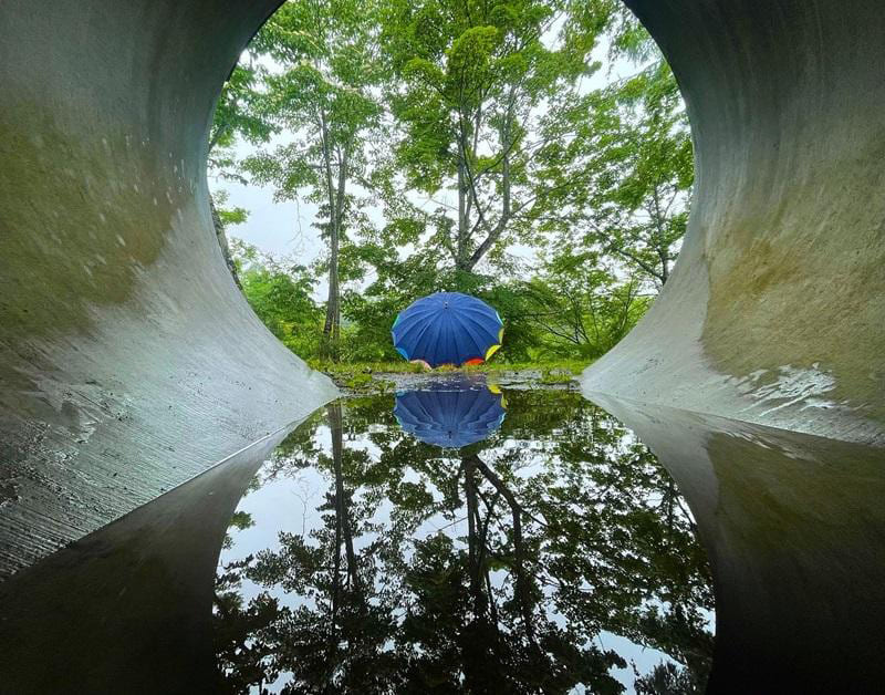 야마나카코 문학의 숲 공원