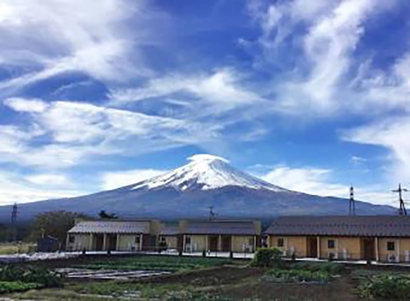 하나노야도 유메후지