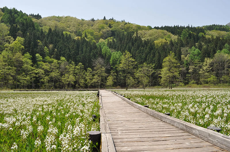 히메카와 원류 자연 탐승원