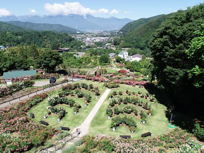 신와노오카 로즈 가든