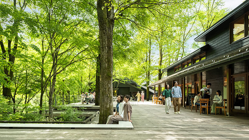 하루니레 테라스