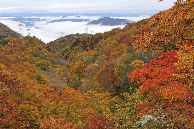 아마모 현립 자연공원
