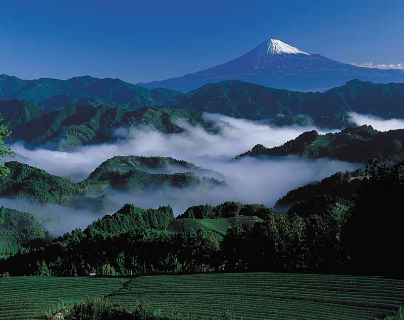 후지 하코네 이즈 국립공원