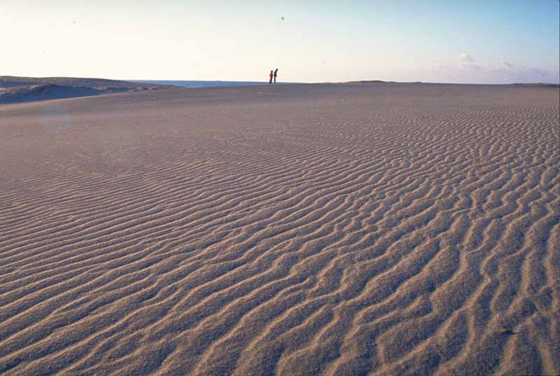 나카타지마 사구