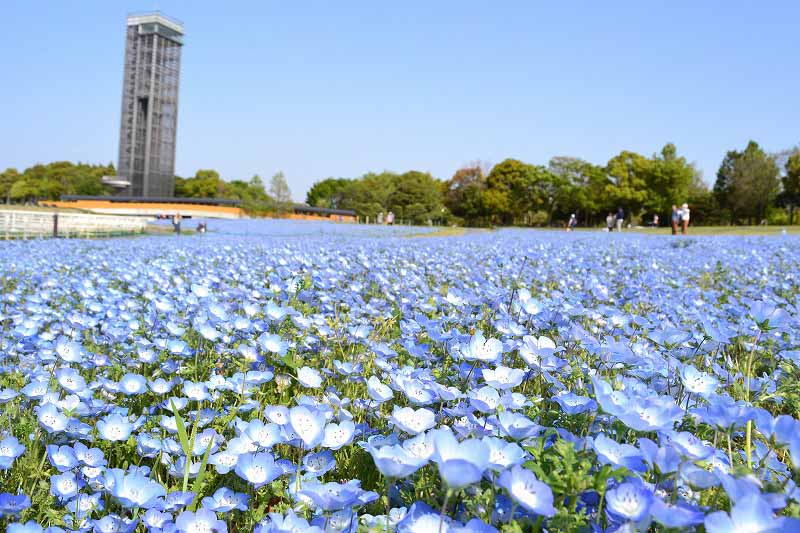 하마나호 가든 파크