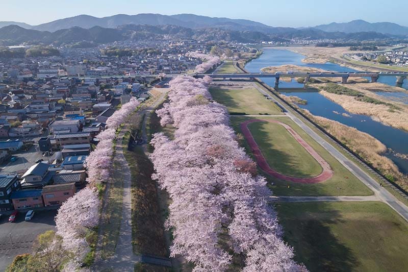 미야가와 쓰쓰미