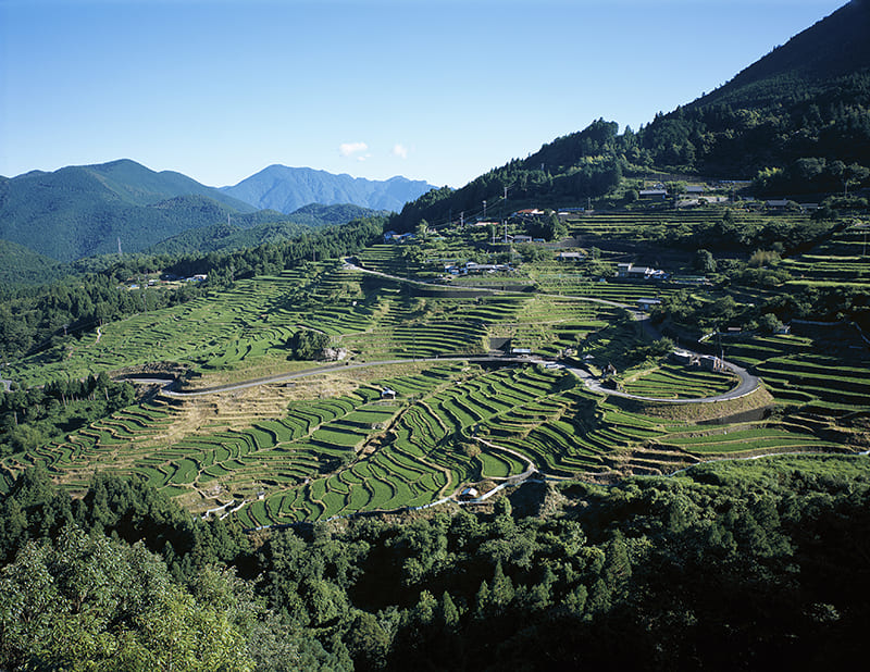 마루야마 센마이다