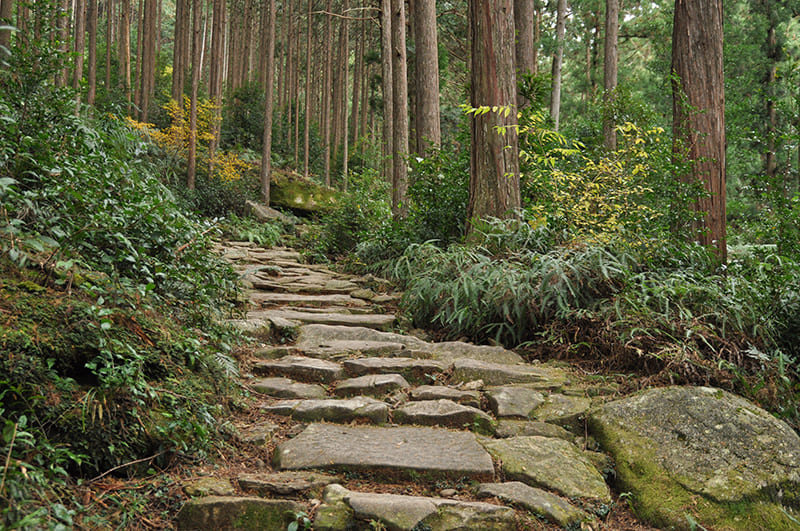 구마노 고도 마고세 고개
