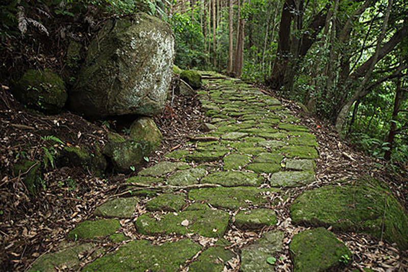 구마노 고도 하다스 길