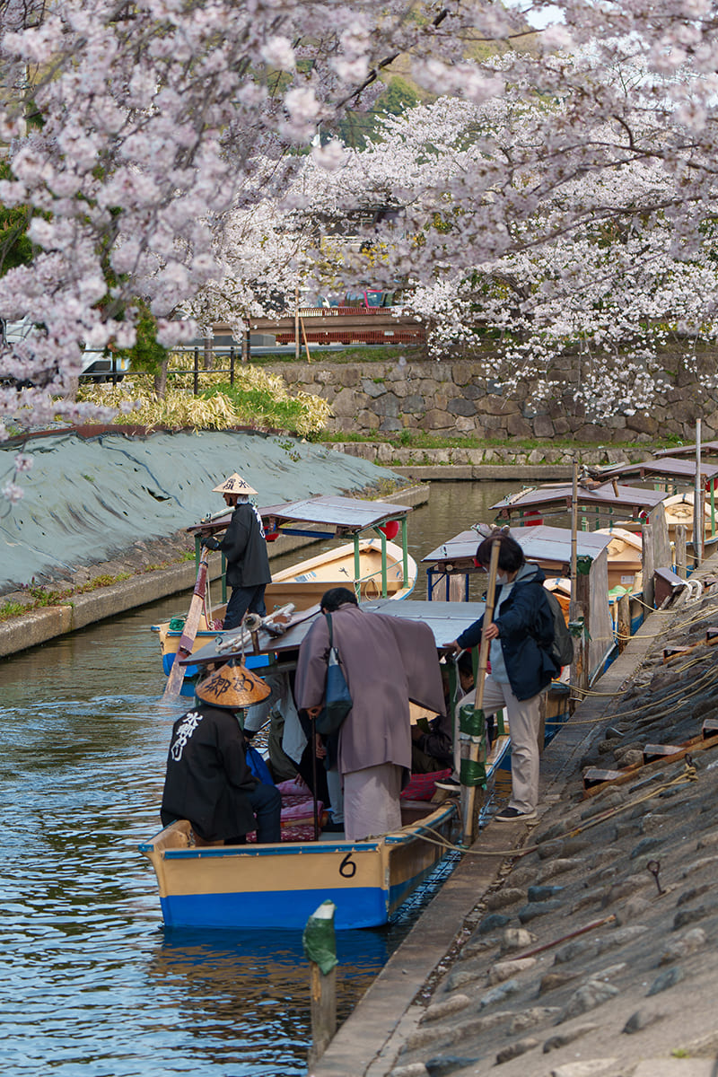 오미하치만의 수향