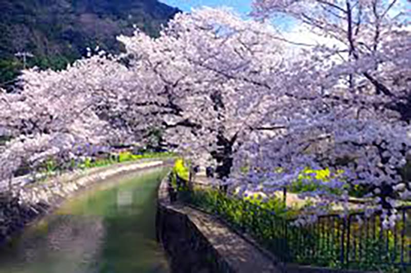 京都市 山科區域