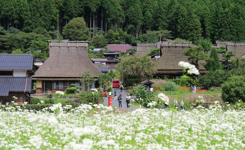 南丹市美山町　知井地区