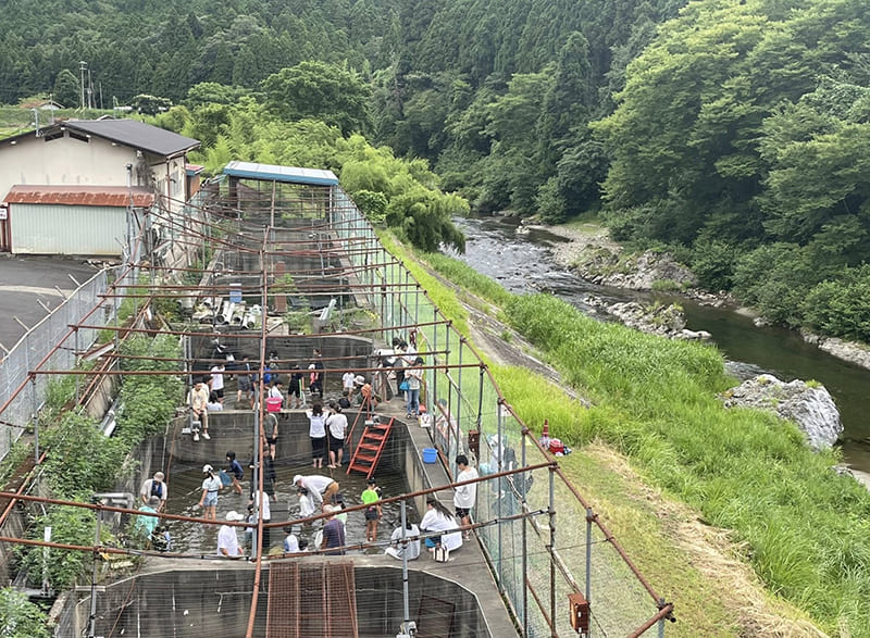 南丹市美山町 平屋地區