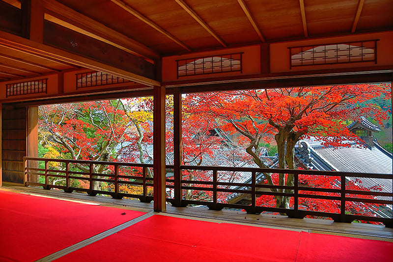 柳谷觀音 楊谷寺